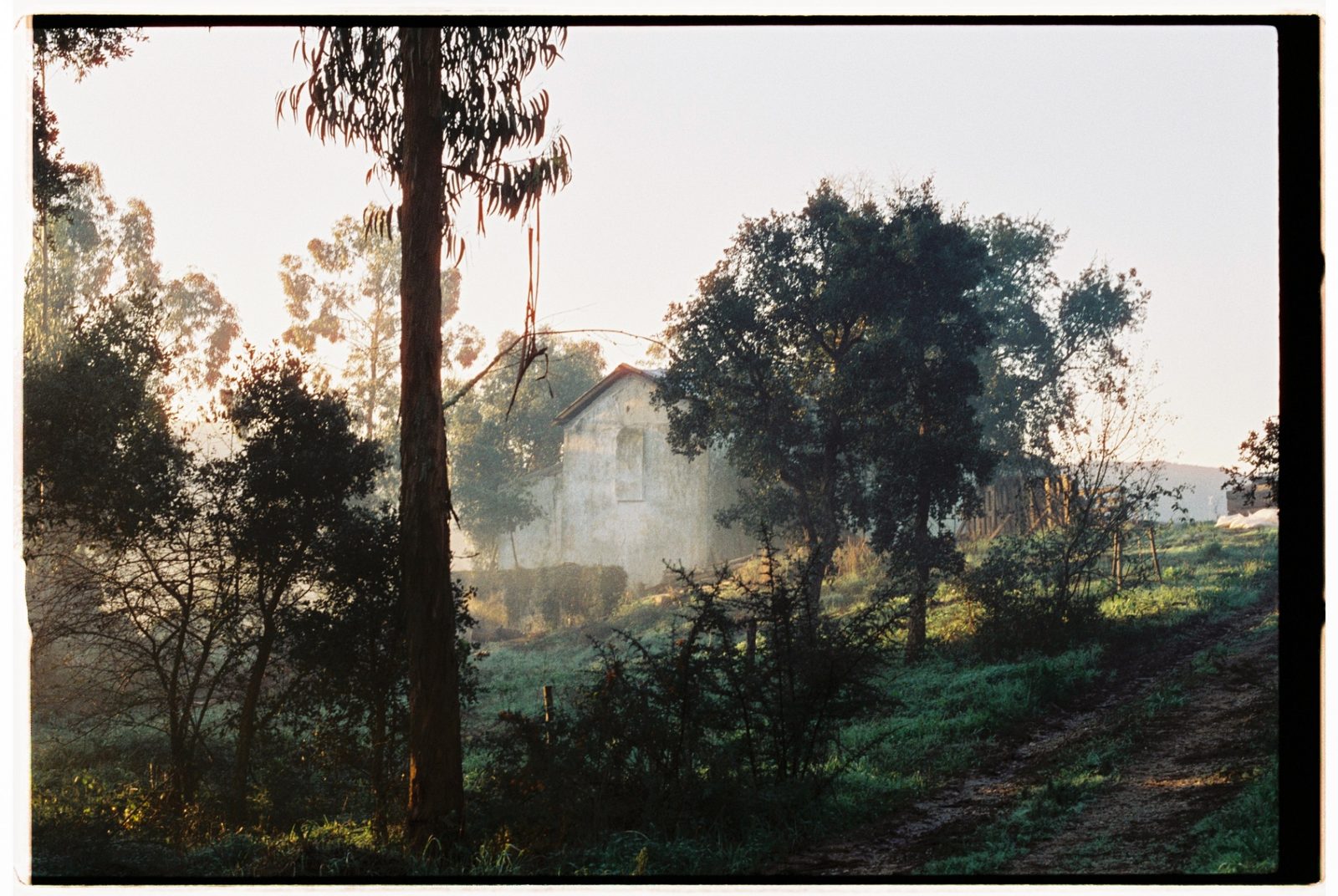 A distant stone building behind trees along a sloping grassy track in morning haze.